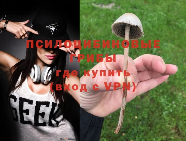 гидра Бабаево