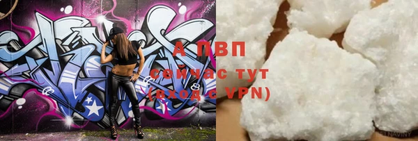 a pvp Новодвинск